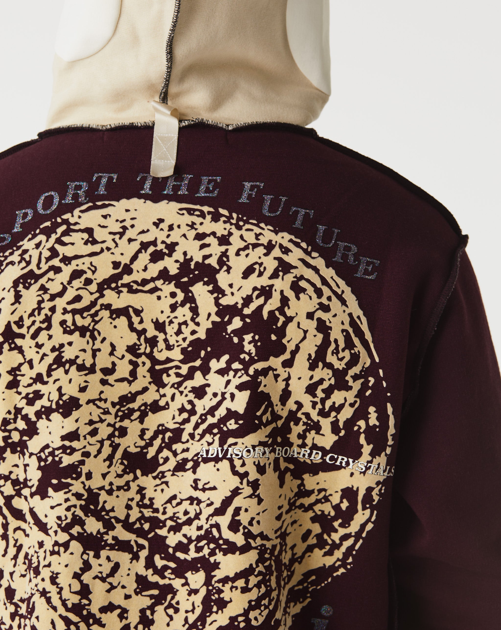 Advisory Board Crystals Critical Thought Mind Spores Hoodie  - XHIBITION