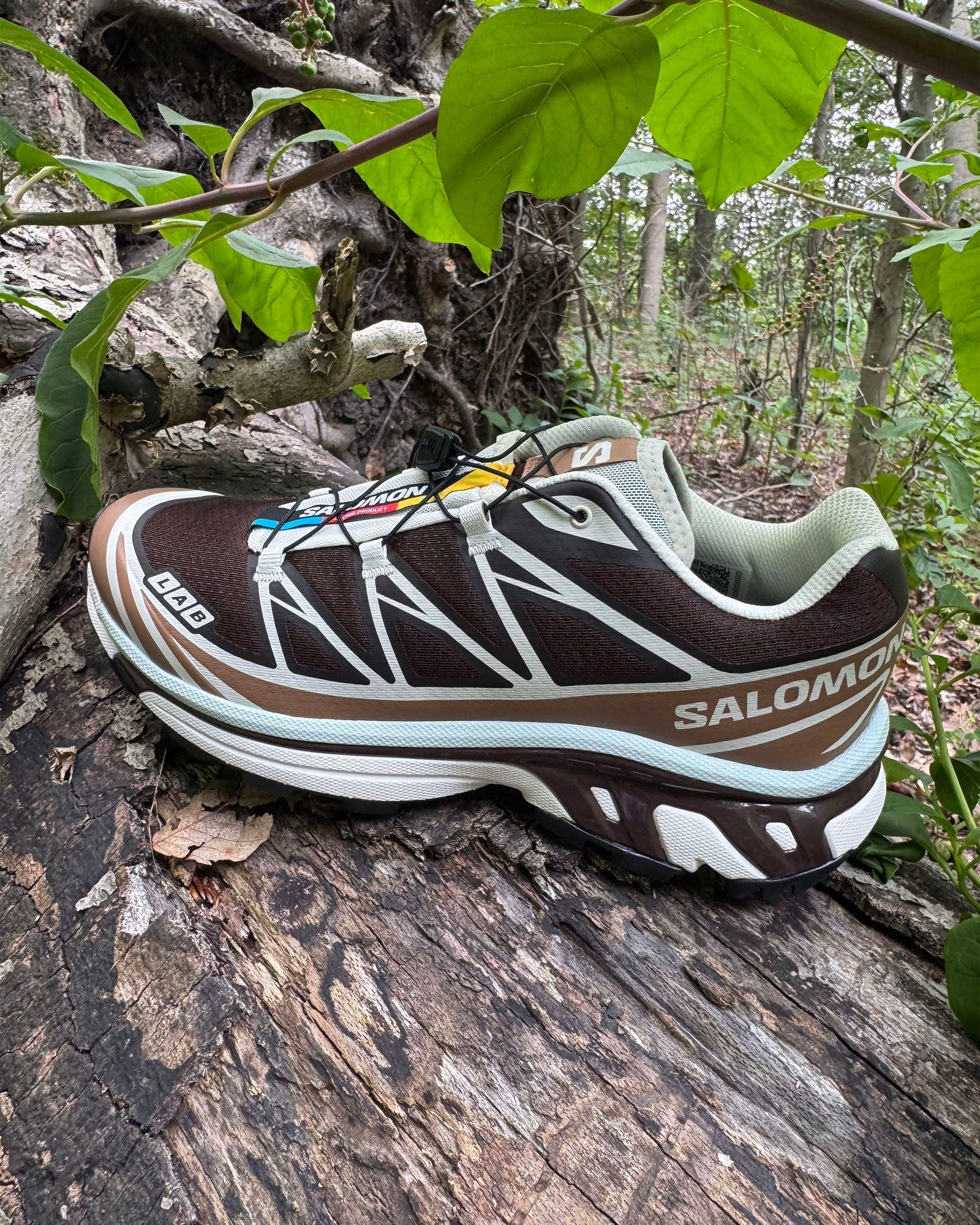 Summer '26 Salomon Restock