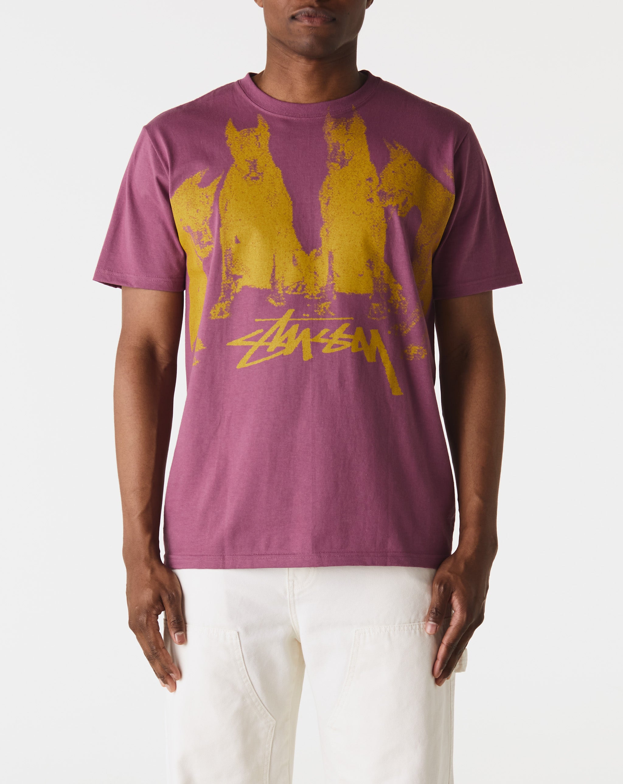 Stüssy Dobermans T-Shirt  - XHIBITION