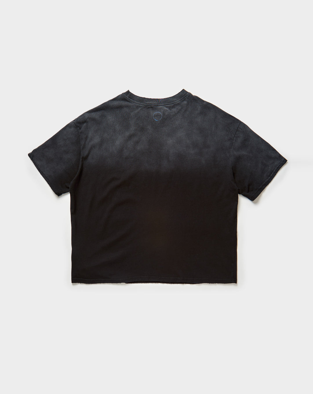 Blessing In Disguise T-Shirt