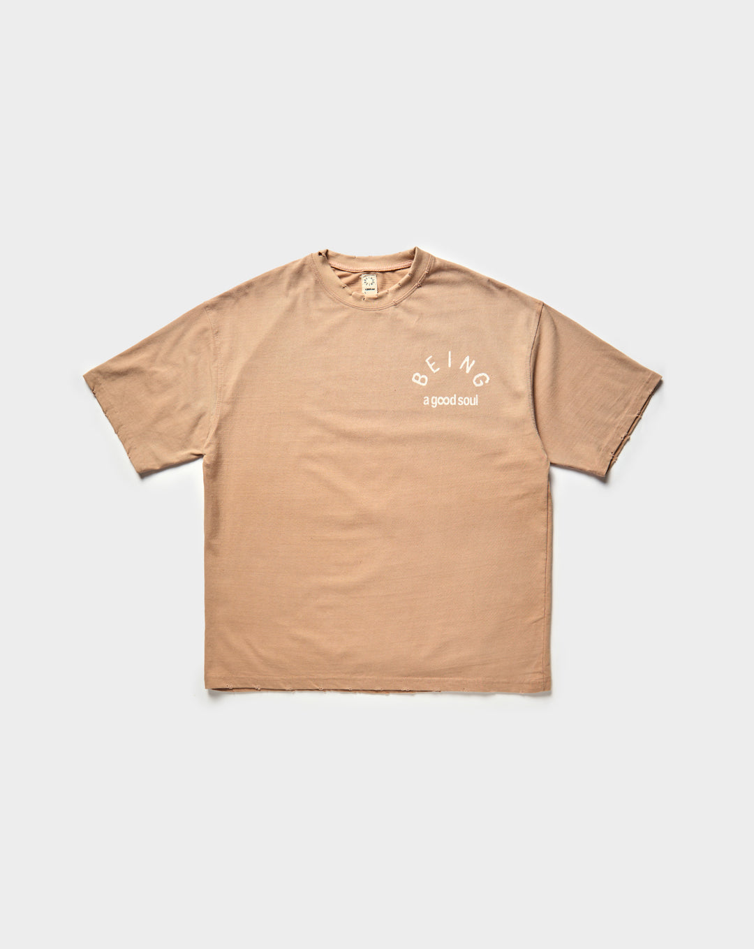 Being AGS T-Shirt