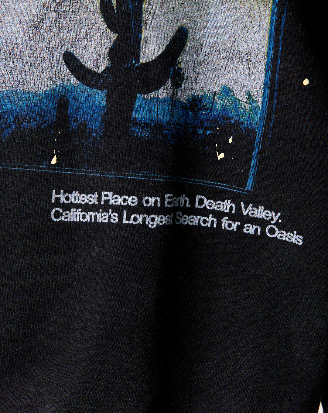 Diet Starts Monday Death Valley Crewneck - XHIBITION