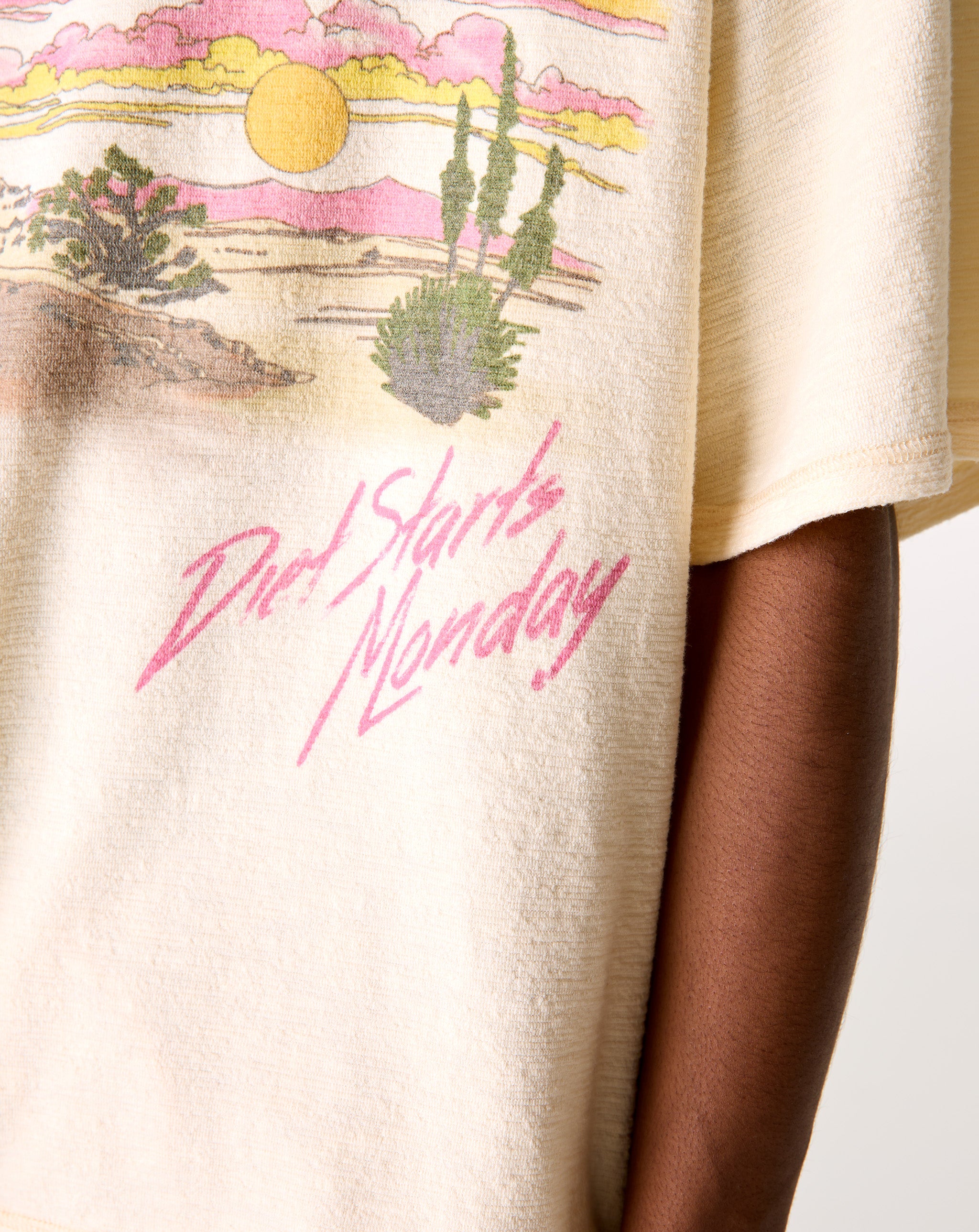 Diet Starts Monday Desertscape T-Shirt - XHIBITION