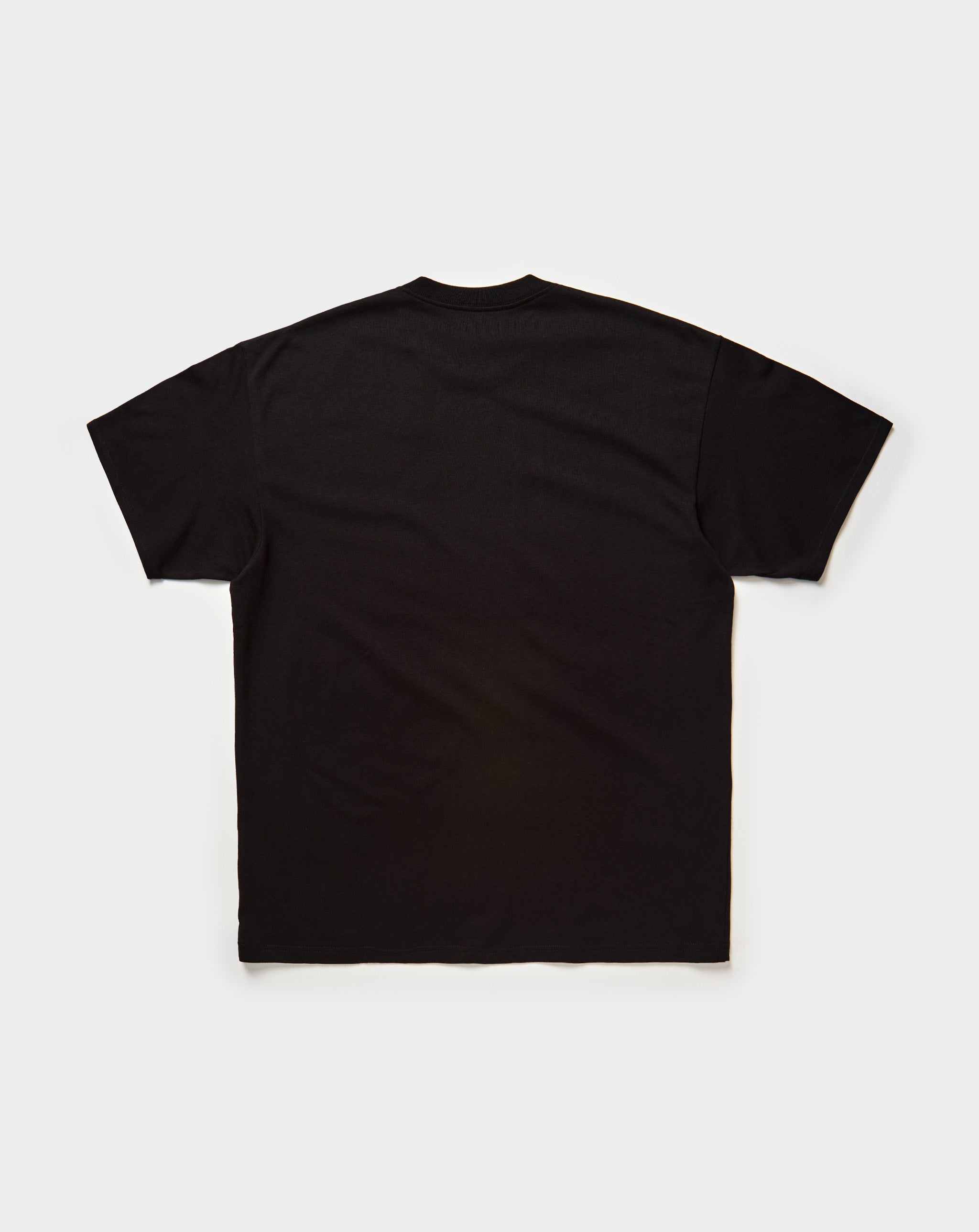 Carhartt WIP Barbwire C T-Shirt - XHIBITION