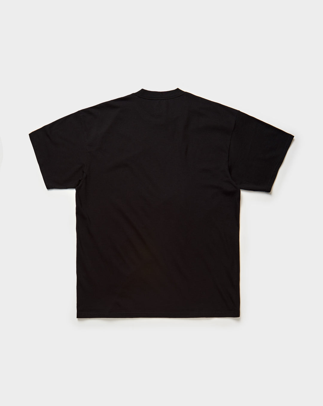 Carhartt WIP Spoiled T-Shirt - XHIBITION