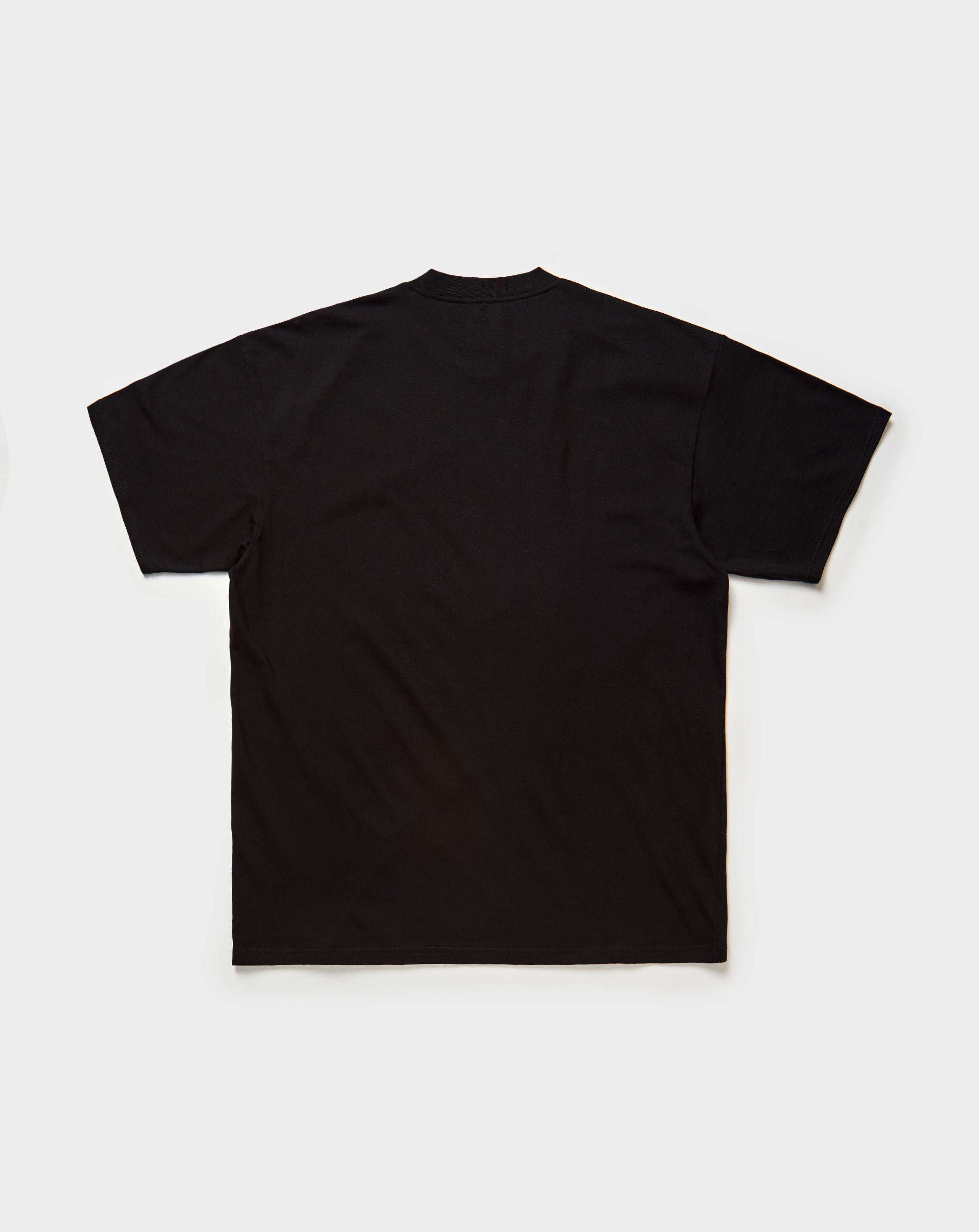 Carhartt WIP Spoiled T-Shirt - XHIBITION