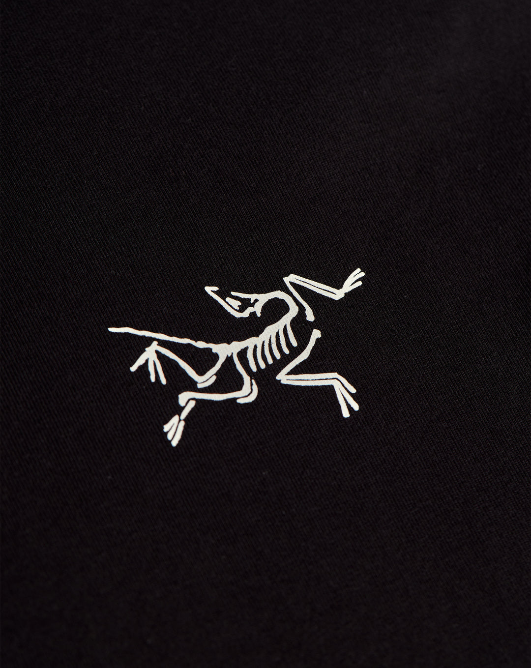 Arc'teryx Kragg Cotton Dream State T-Shirt - XHIBITION
