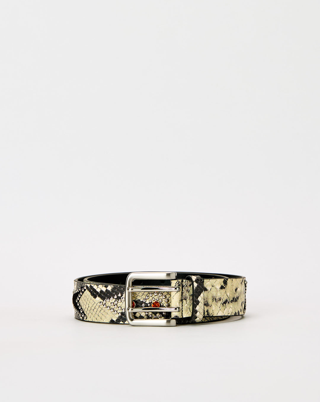 Boa Studded Belt
