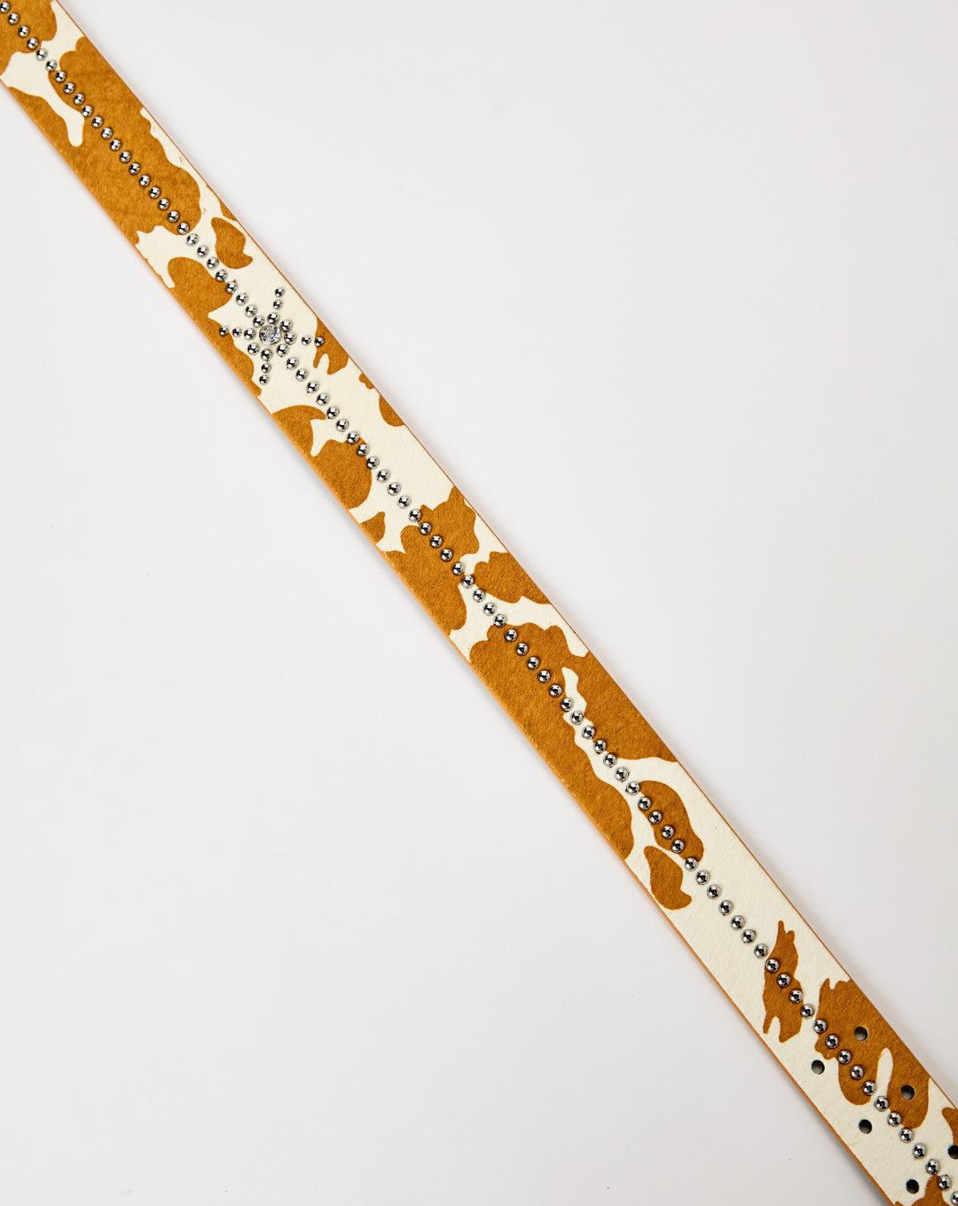 Xhibition Longhorn Studded Belt - XHIBITION